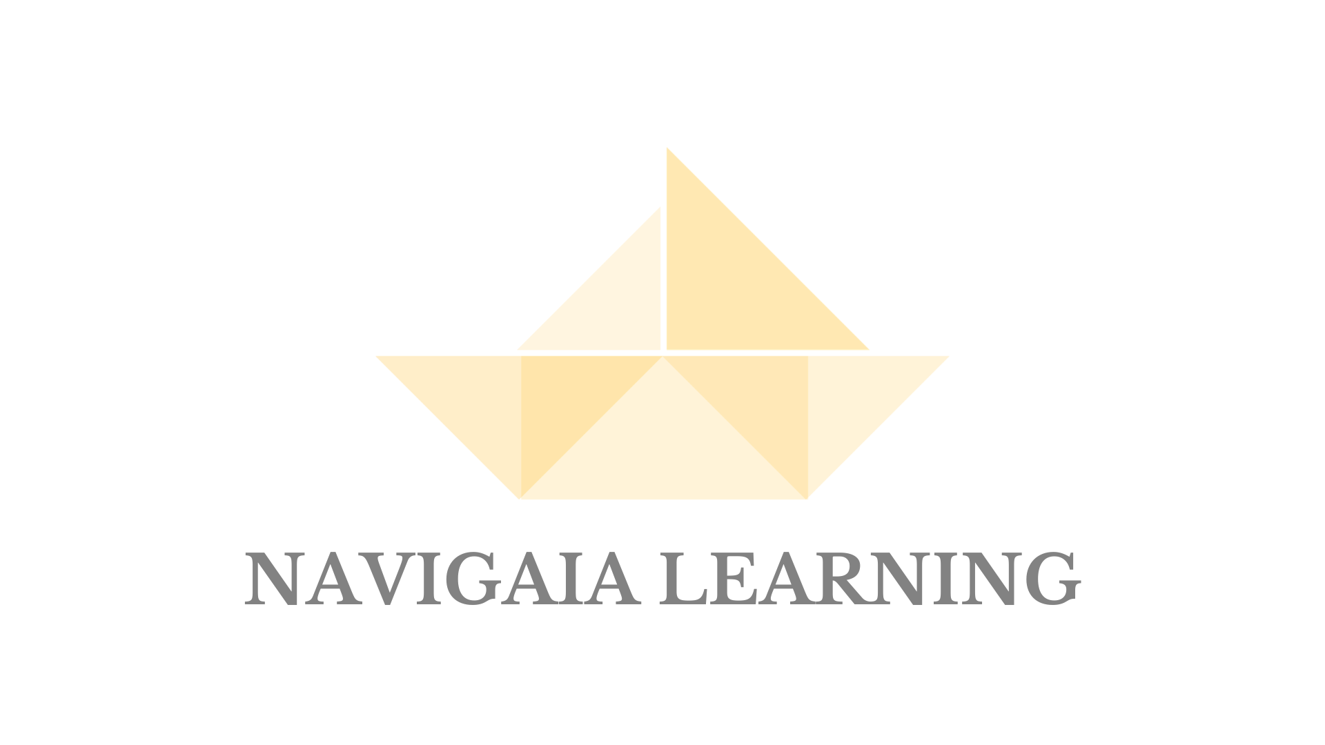 navigaia icon